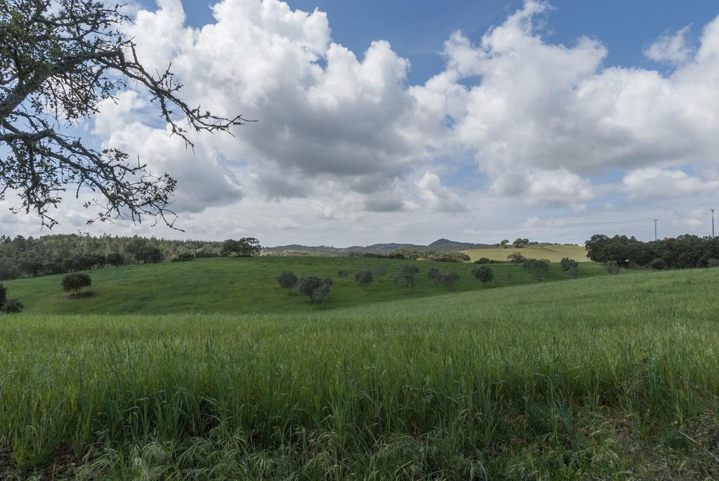 Monte Pedras Negras Pensionat São Luis Eksteriør billede